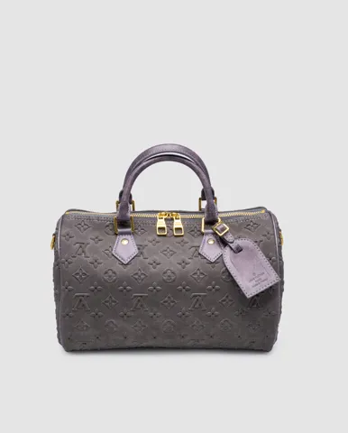 Louis Vuitton Speedy Bandoulière 30 Grey Suede